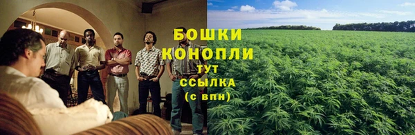 МДПВ Ладушкин