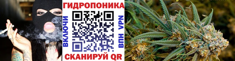 Бошки марихуана план  Купить  Бобров 